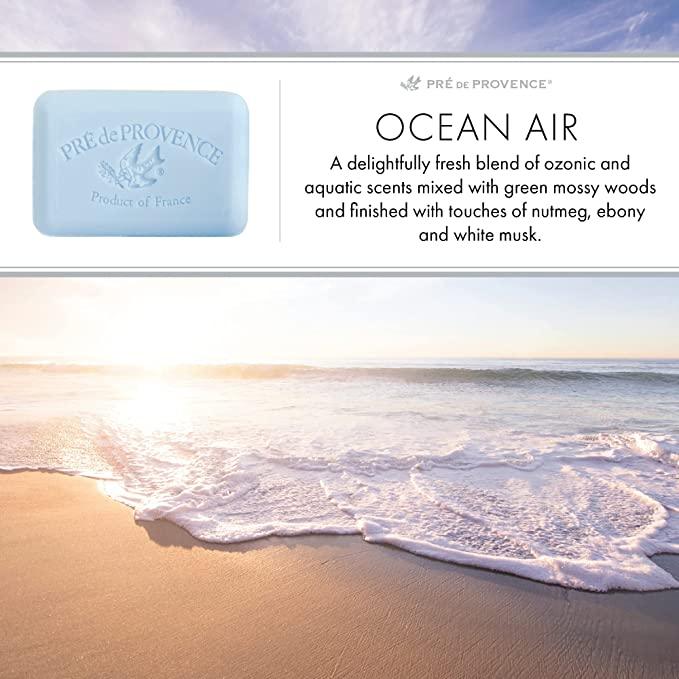 Ocean Air Soap Bar - Rust & Refined