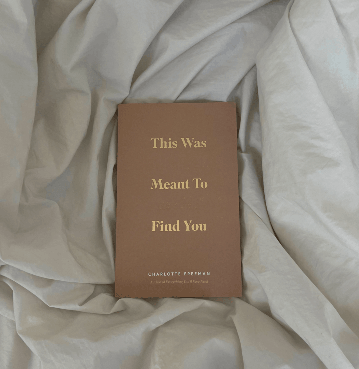 This Was Meant To Find You (When You Needed It Most) - book - Rust & Refined